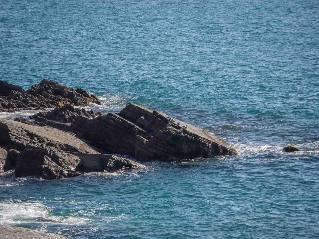 Unda De Ma Sea View Terrace Apartment Vernazza Bagian luar foto